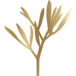 Rock Samphire
